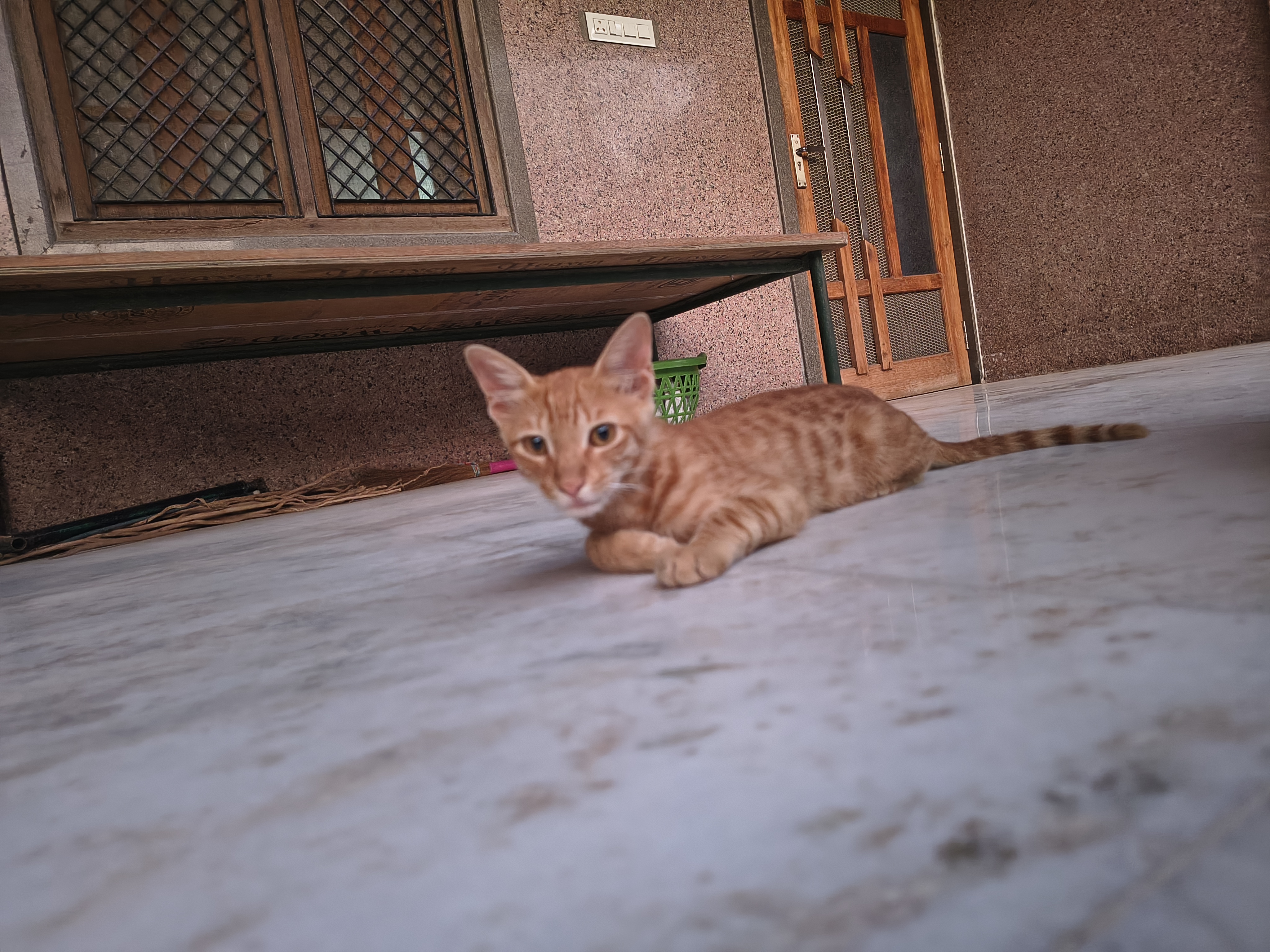 raj raj