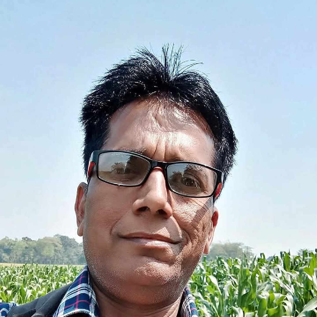 Dilip null