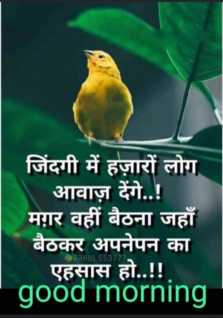 Post media