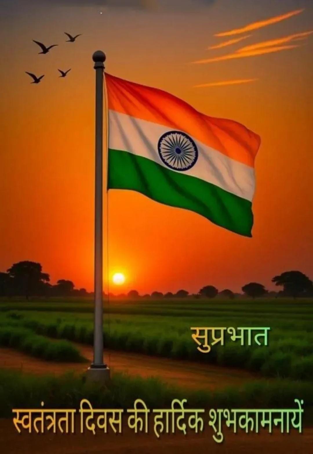 Post media