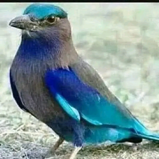Post media