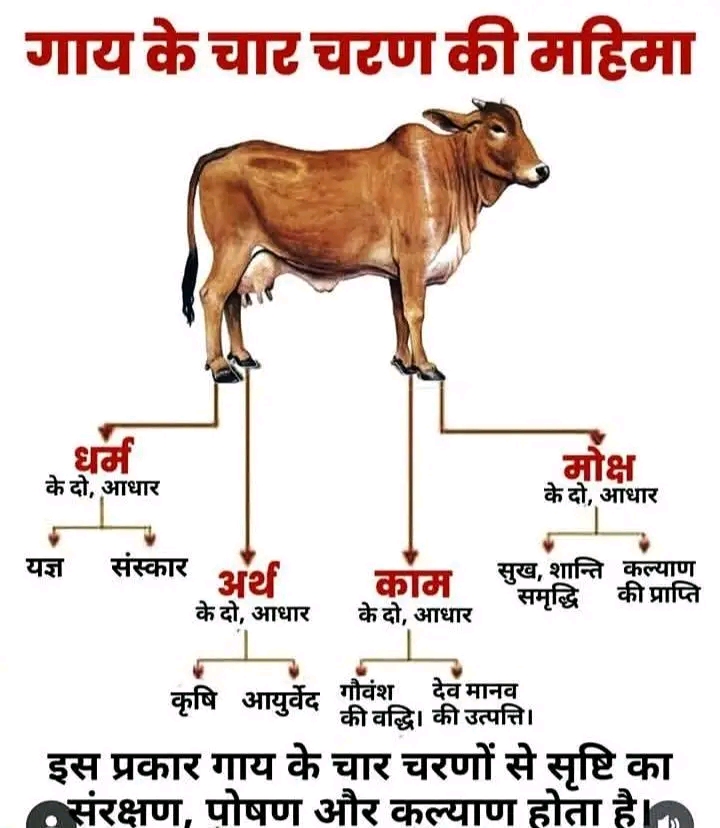 Post media