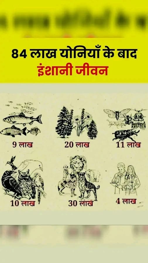 Post media