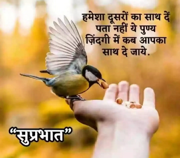 Post media