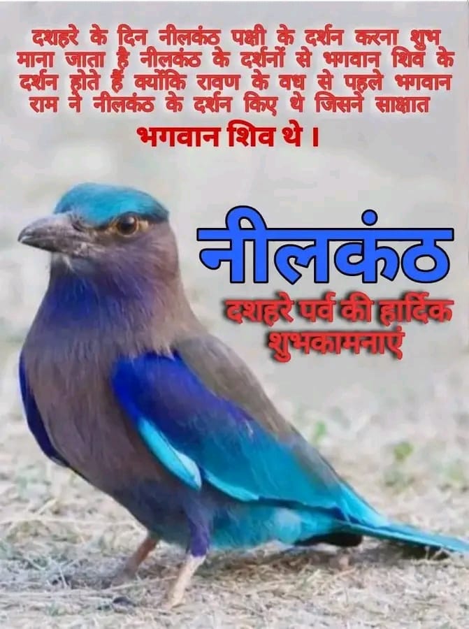 Post media