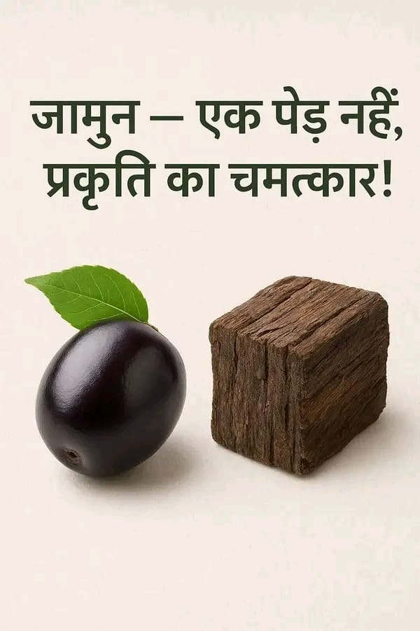 Post media