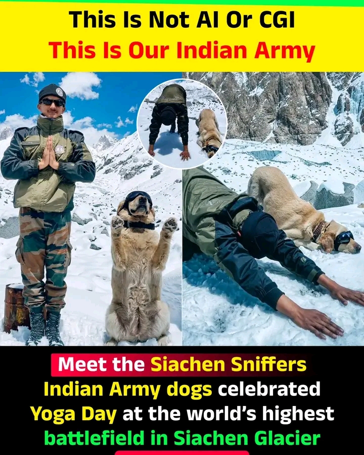 Post media