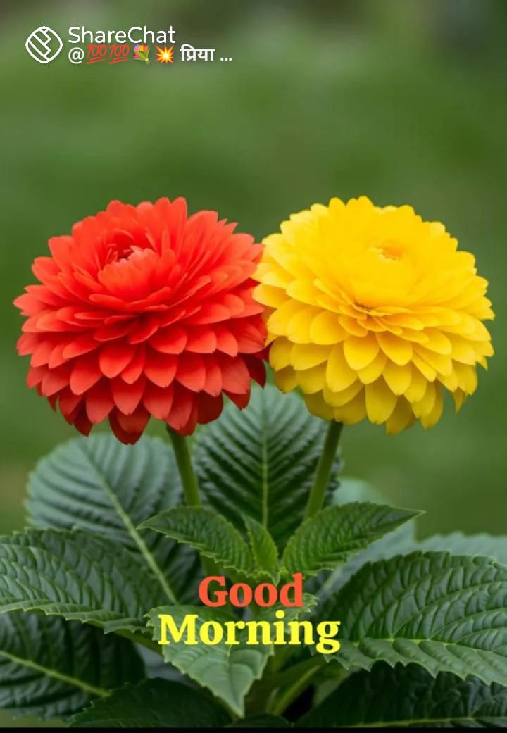Devotional post media by Guriya Thakur Guriya Thakur