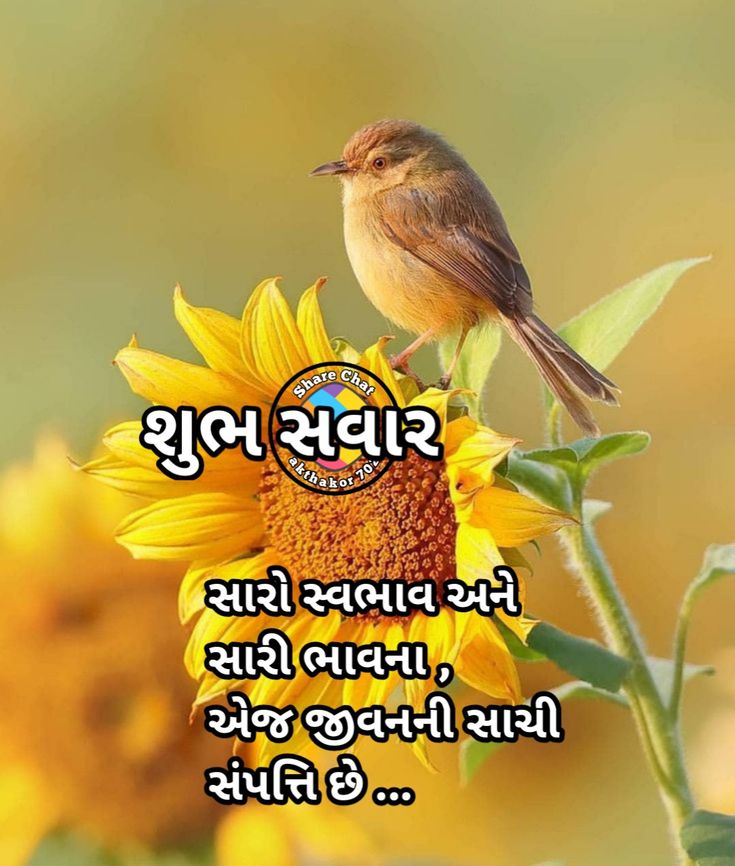 Devotional post media by hansu parjapti